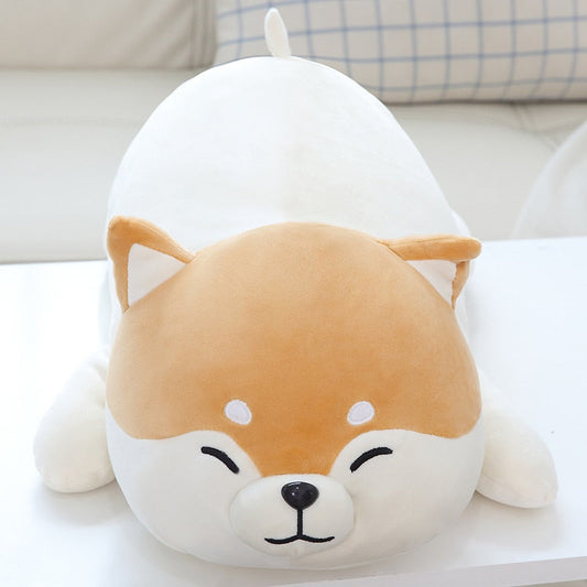 Sleepy Shiba Inu